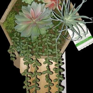 Michaels Green and Pink Succulent Wall Art